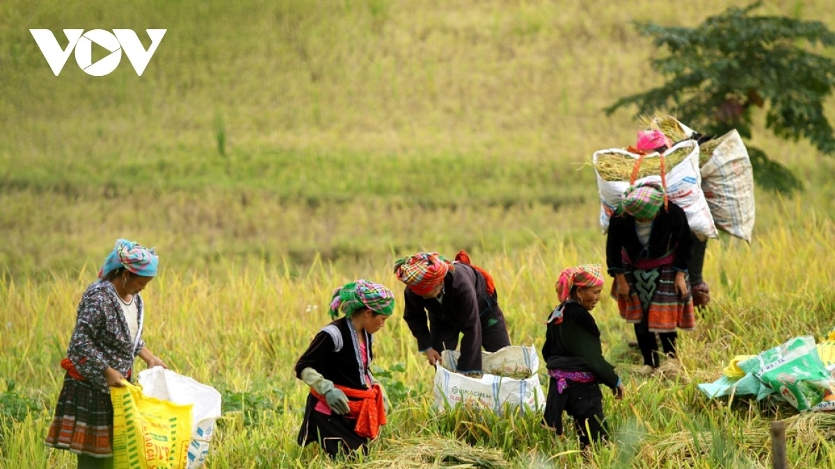 World Bank: “Việt Nam có một thập kỷ giảm nghèo liên tục nhưng còn nhiều thách thức"