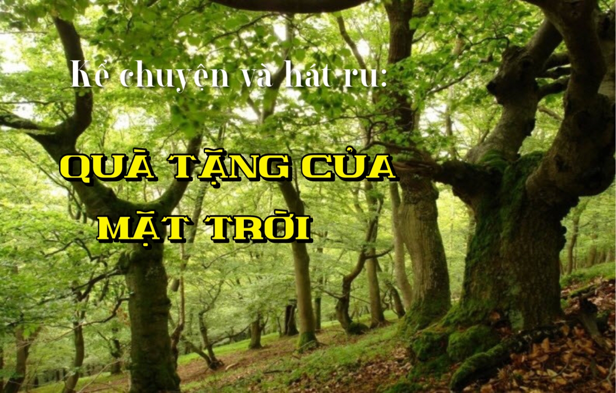 Quà tặng của mặt trời