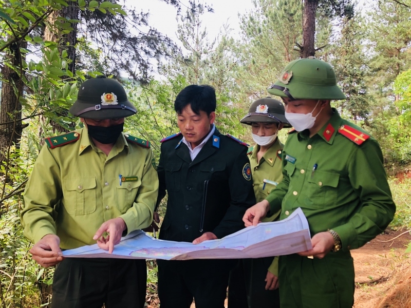 Tăng cường bảo vệ rừng ở vùng cao Mù Cang Chải, Yên Bái