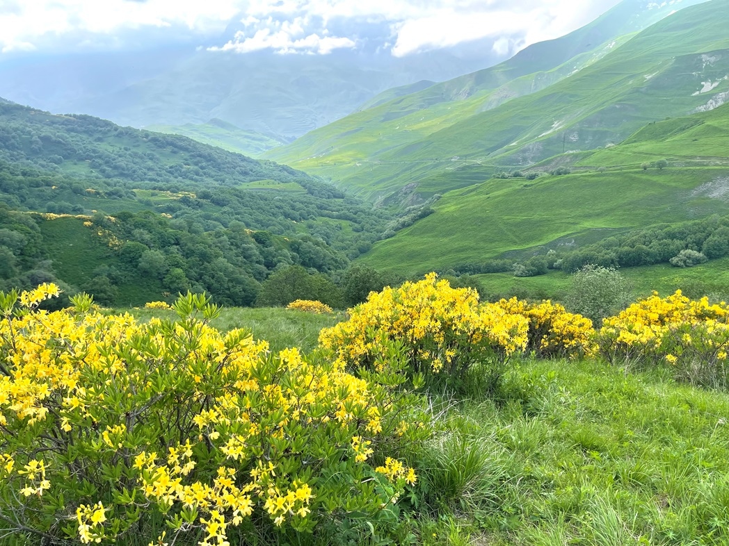 Khám phá thiên nhiên tuyệt đẹp vùng Bắc Kavkaz, Nga