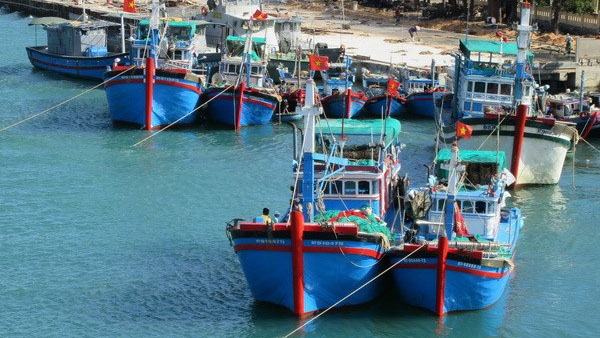Xử lý triệt để tàu cá khai thác hải sản bất hợp pháp