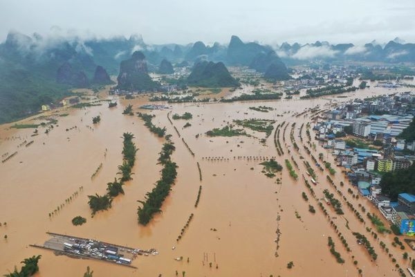 Thảm họa "Thiên nga đen" sẽ hiện hữu nếu chủ quan, xem nhẹ bảo vệ đê điều