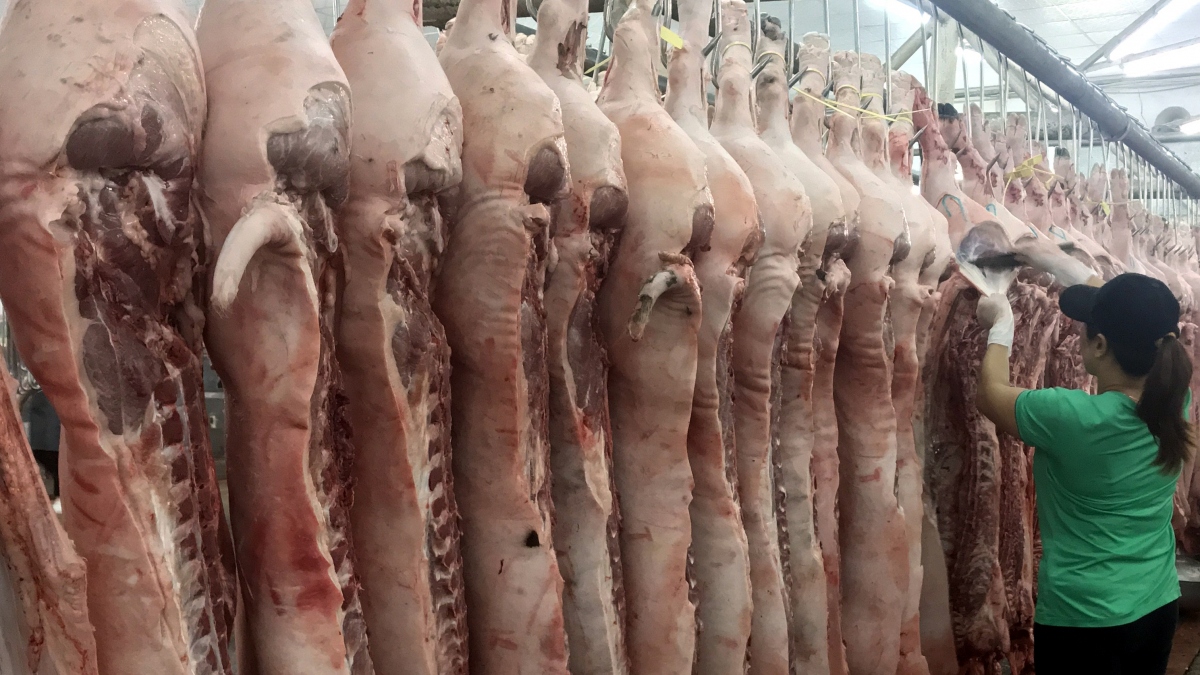 Vì sao chưa nhập khẩu thịt lợn để ngăn đà tăng giá?