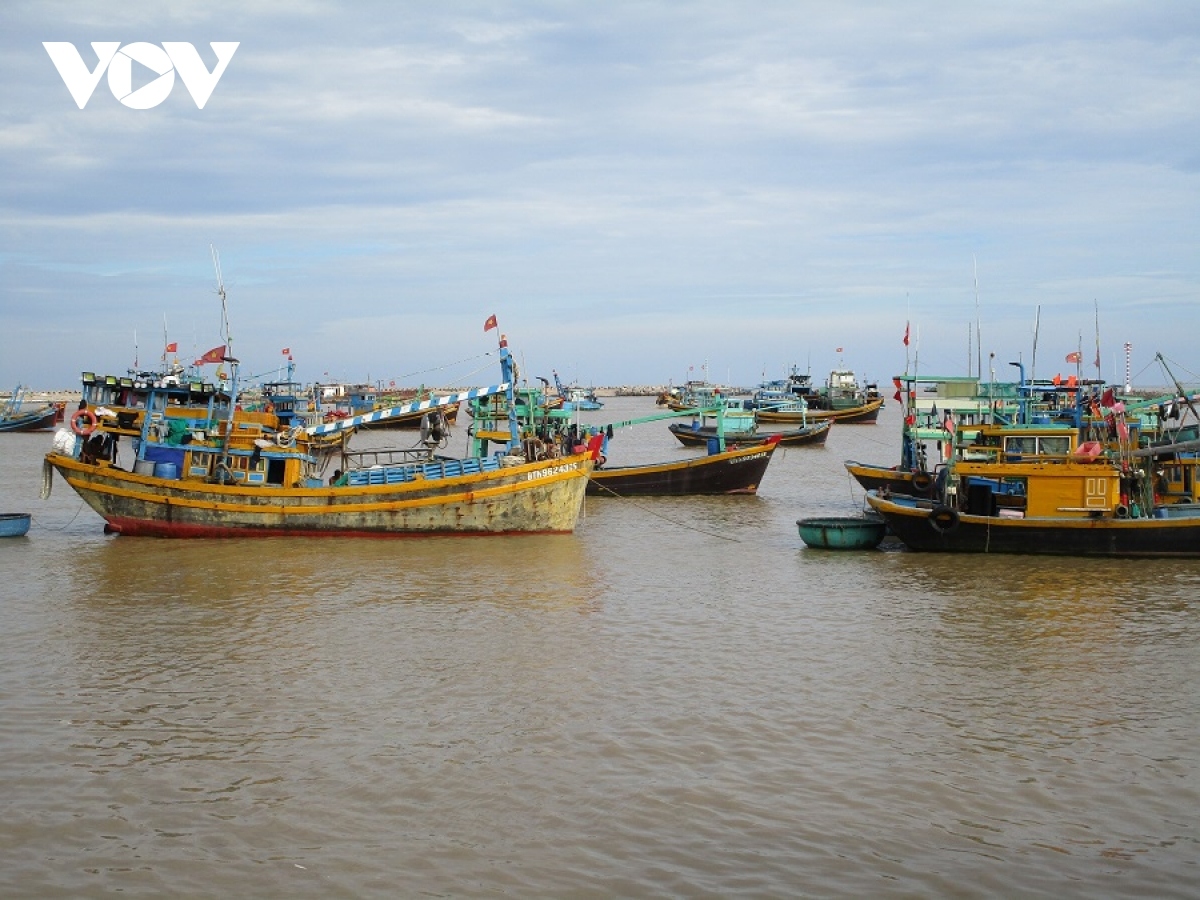 Mất liên lạc với tàu cá chở 16 thuyền viên trên vùng biển Bình Thuận