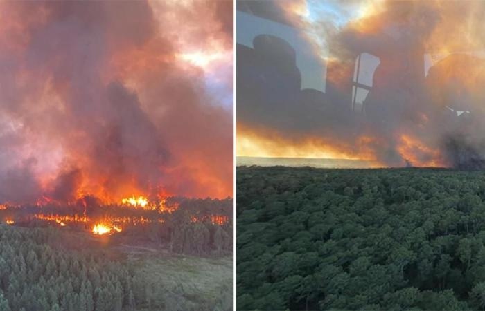 Pháp sơ tán 1.500 người vì cháy rừng, Anh dự báo nắng nóng nguy hiểm