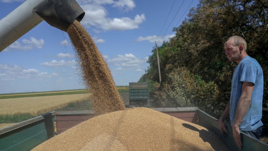 Quốc tế hoan nghênh thoả thuận nối lại xuất khẩu ngũ cốc Nga-Ukraine