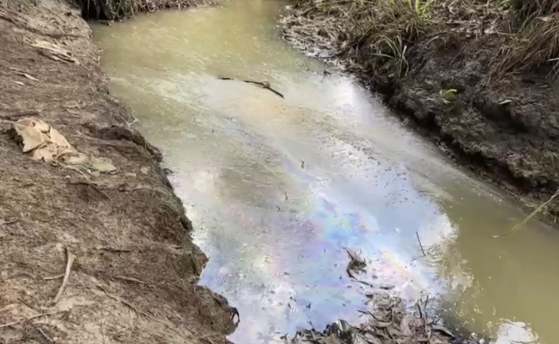 Xử lý dứt điểm tình trạng ô nhiễm suối Giao Kèo ở Bà Rịa - Vũng Tàu