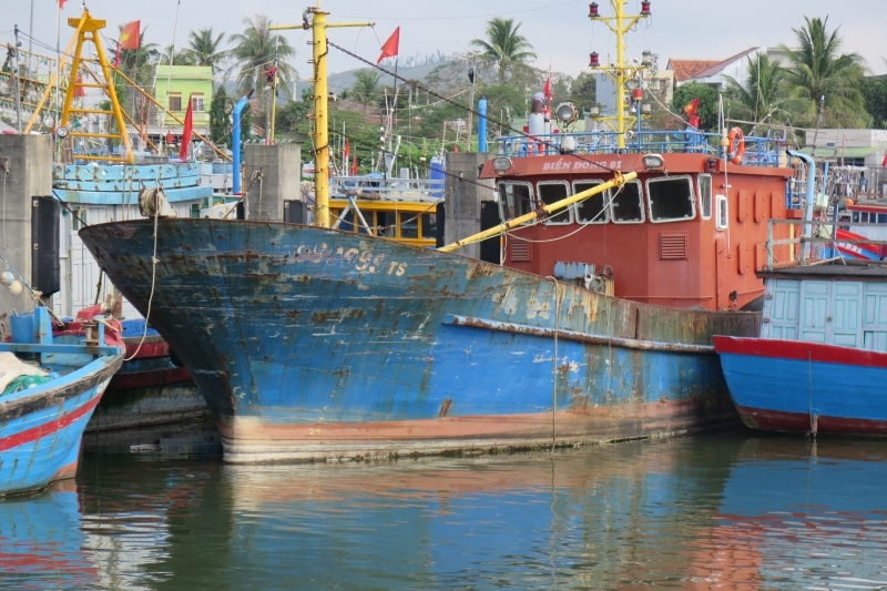 Cử tri Quảng Ngãi đề nghị khoanh nợ vay nâng cấp, đóng mới tàu cá theo Nghị định