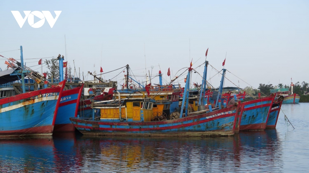 Sớm hỗ trợ ngư dân ảnh hưởng bởi giá xăng dầu tăng cao