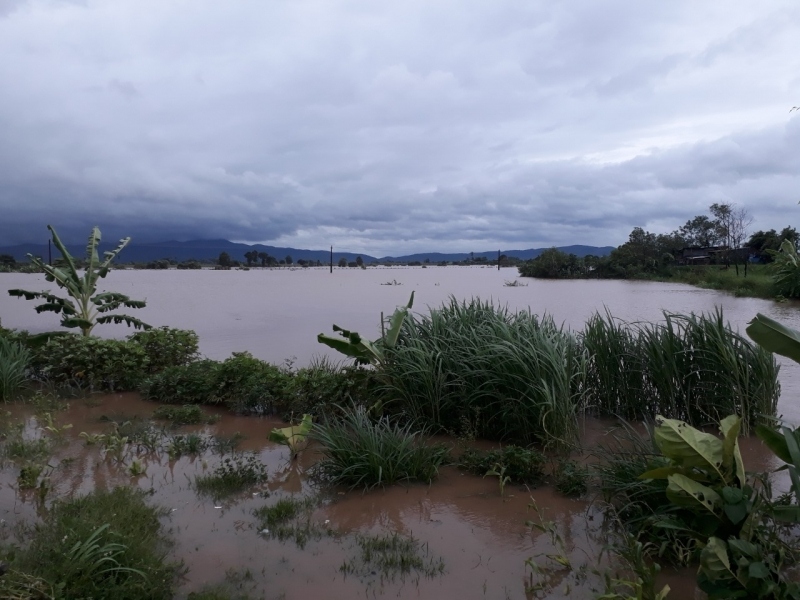 125 nhà dân và hơn 1.500 ha lúa và hoa màu ở Gia Lai bị ngập lụt
