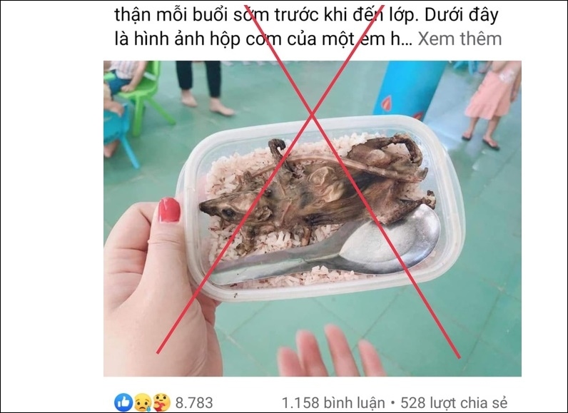 Thực hư hộp cơm thịt chuột được cho là của học sinh vùng cao Quảng Nam