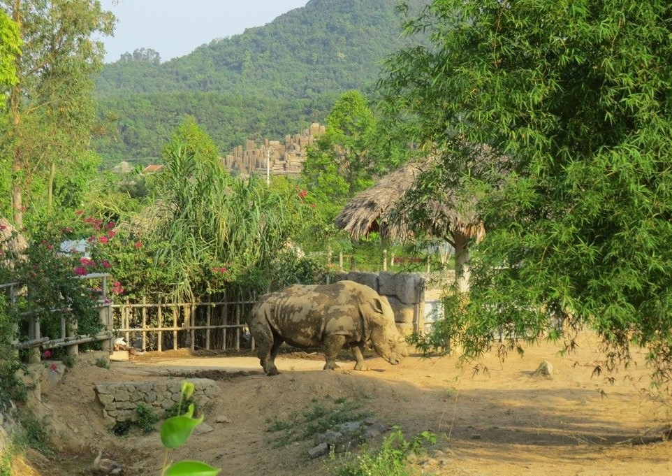 Công an điều tra nguyên nhân 6 con tê giác chết tại khu sinh thái ở Nghệ An