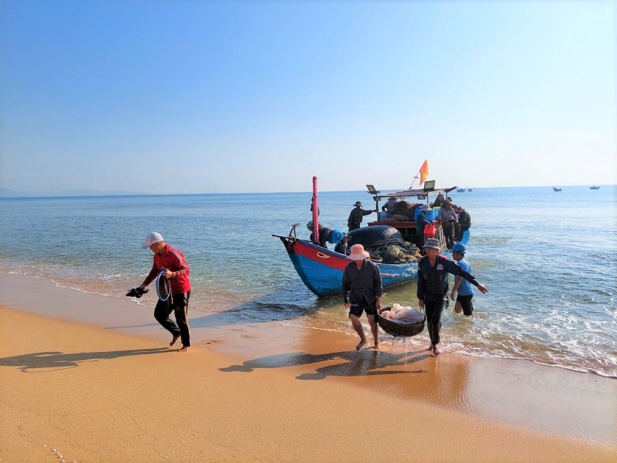 Ngư dân vùng bãi ngang Quảng Bình trúng cá cơm