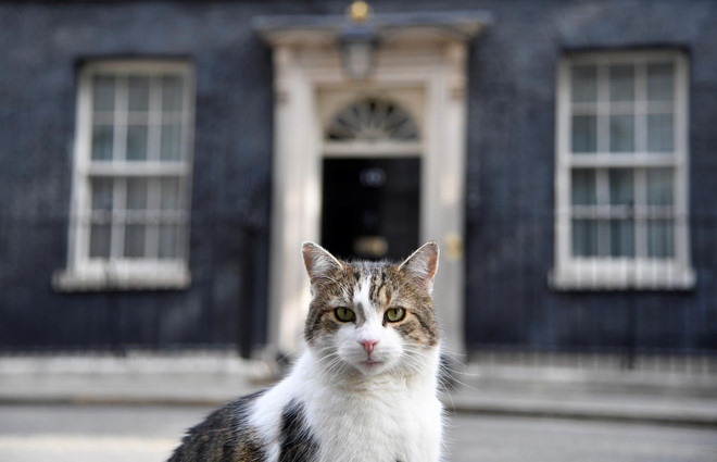 Nước Anh có thủ tướng mới, mèo Larry vẫn chiếm spotlight