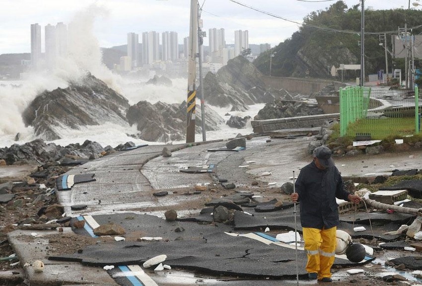 Siêu bão Hinnamnor nuốt chửng đường phố, Hàn Quốc dốc sức cứu hộ nạn nhân