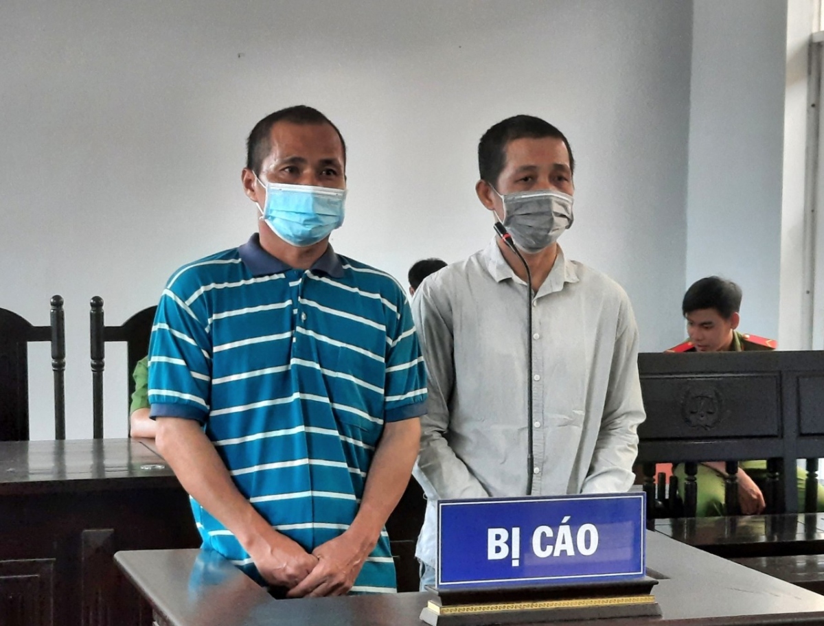 Hai đối tượng phá hoại Vườn Quốc gia Phú Quốc bị phạt tù