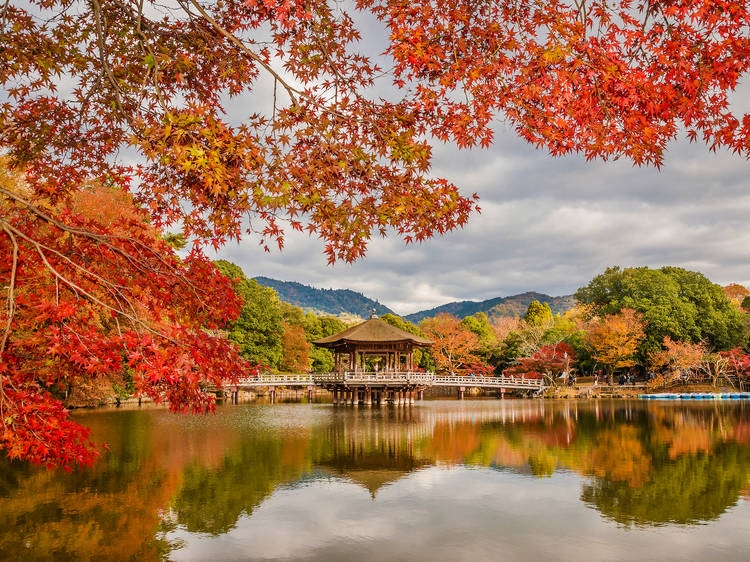 Những điểm đến mùa thu đẹp nhất ở Nhật Bản