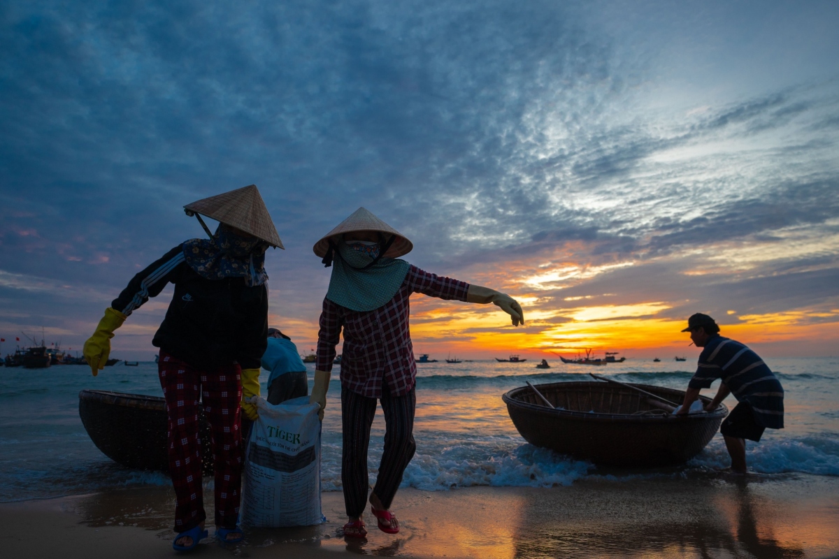 Vẻ đẹp bình dị vào sáng sớm ở chợ cá lớn nhất Quảng Nam