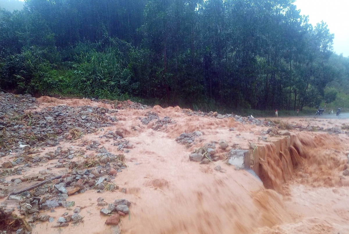 Quảng Nam: Một cô giáo tại huyện Núi Thành bị nước cuốn trôi tử vong