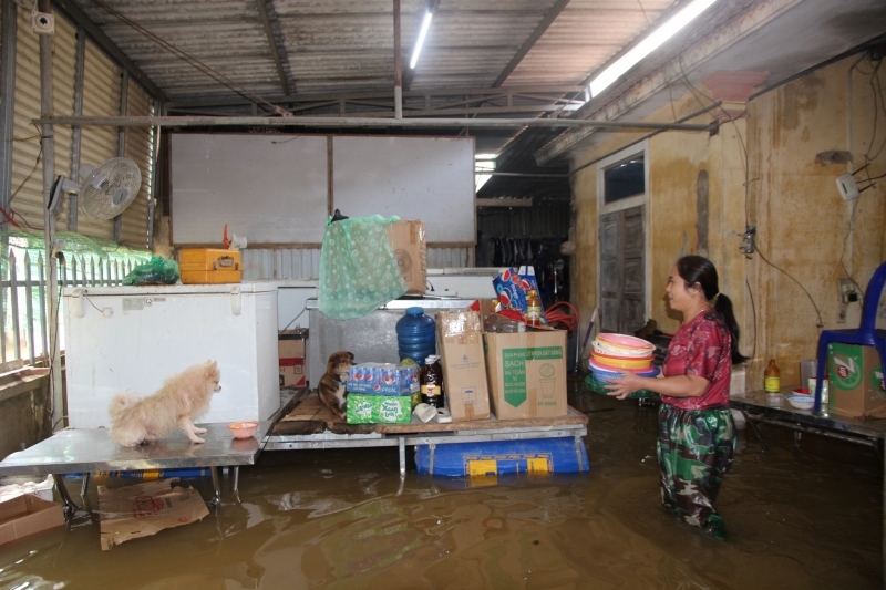 Người dân Quảng Bình làm bè phao đỡ tài sản khi nước lũ dâng cao