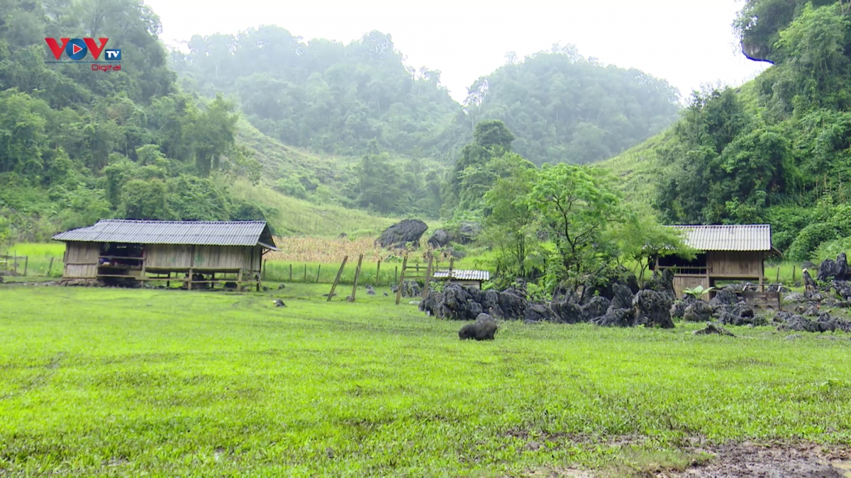Đến Mộc Châu khám phá bản làng “nguyên thủy” Hang Táu