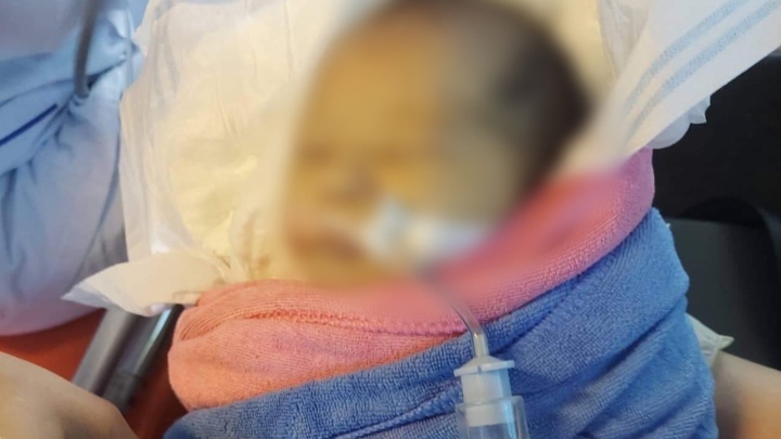 Bé gái sơ sinh bị bỏ rơi giữa rừng ở Quảng Nam vừa tử vong