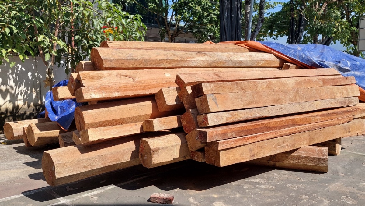 Truy tìm chủ của hơn 26m3 gỗ cất giấu trái phép tại Điện Biên