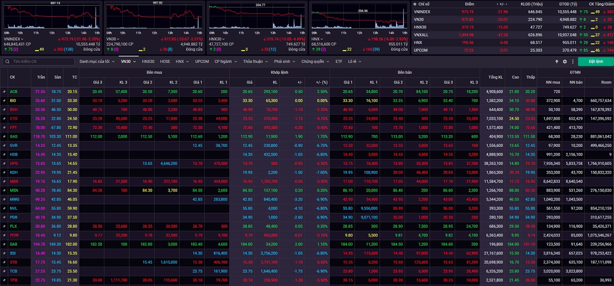 Áp lực bán tháo diễn ra trên diện rộng, VN-Index giảm mạnh về mốc 975 điểm