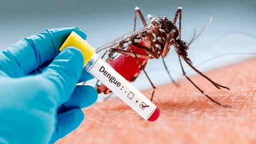 Biến chứng nguy hiểm của sốt xuất huyết tuyệt đối không được chủ quan