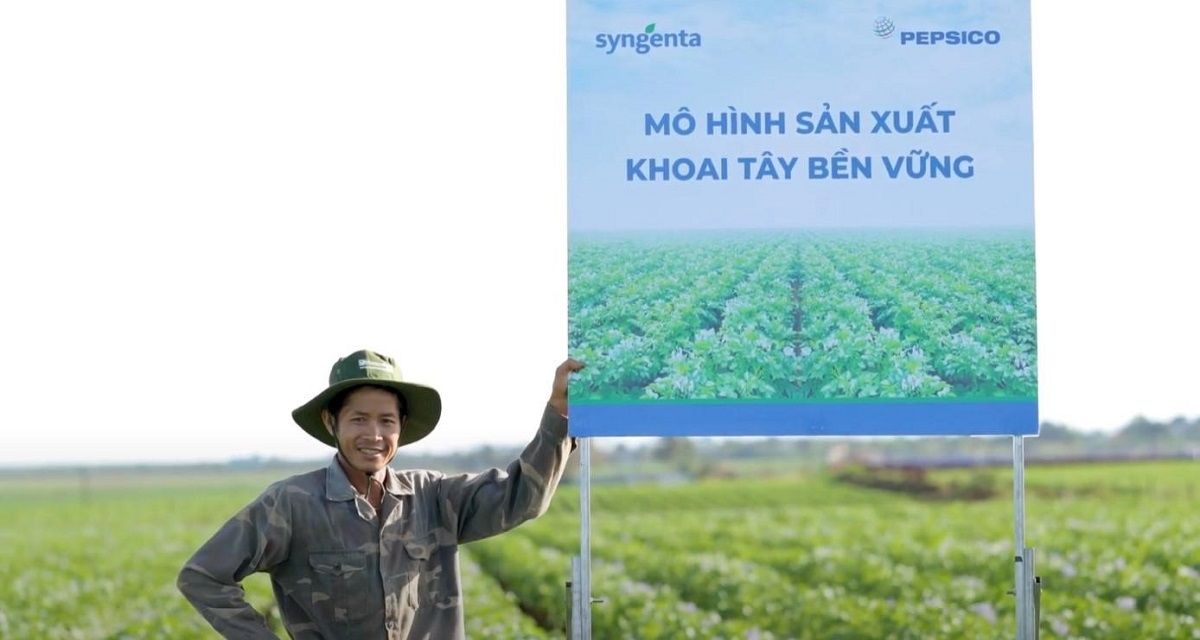 Hợp tác sản xuất khoai tây bền vững Syngenta - Pepsico