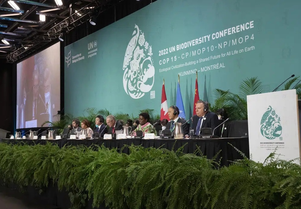COP15 bế mạc với thỏa thuận tham vọng về bảo tồn đa dạng sinh học