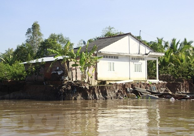 Sạt lở bờ sông Cổ Chiên làm 13 căn nhà rơi xuống sông