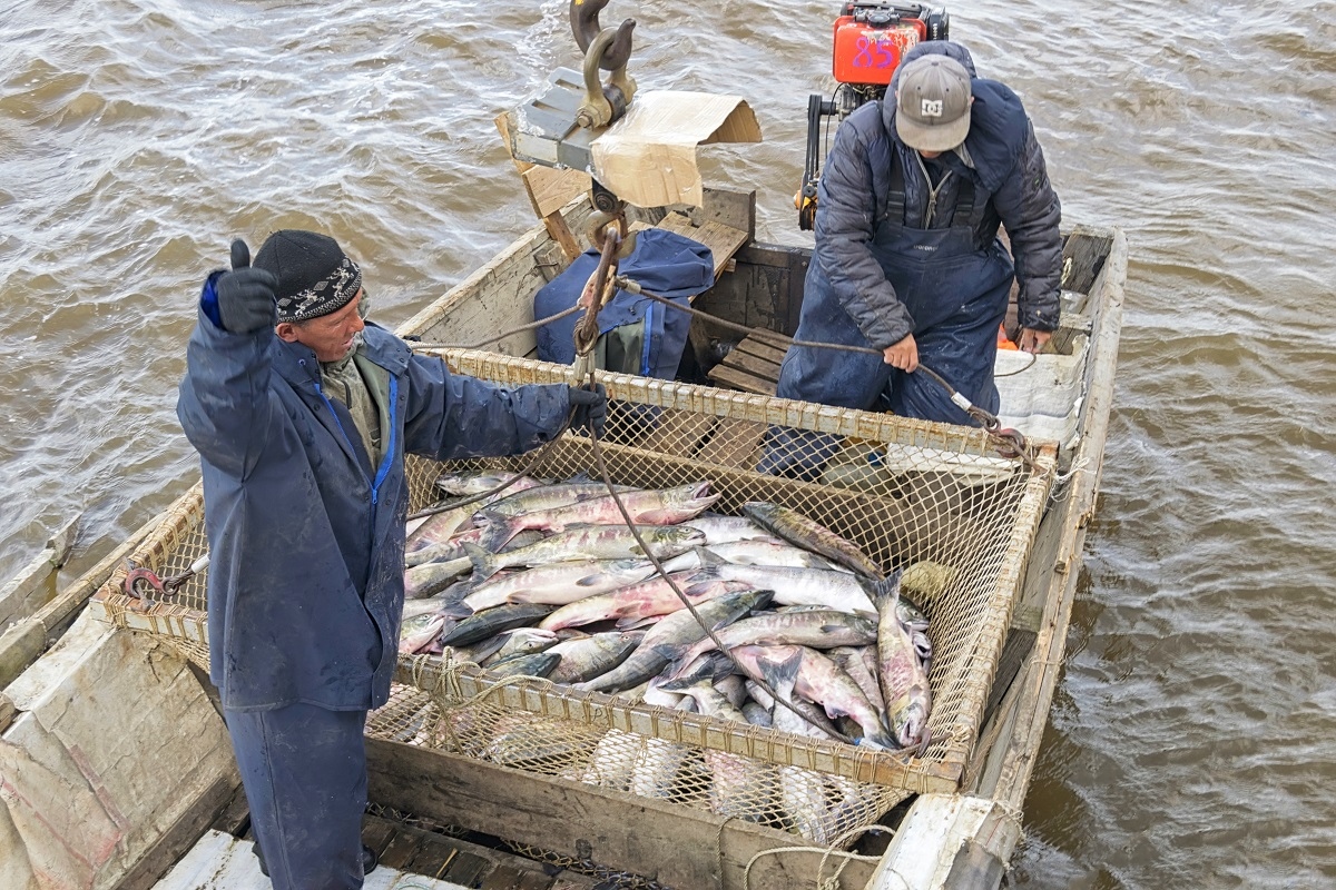 Nga hủy đàm phán với Nhật Bản về Thỏa thuận đánh bắt cá gần quần đảo tranh chấp
