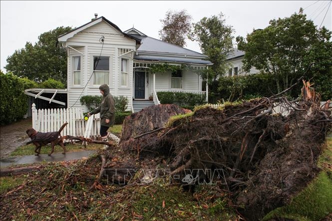 Thủ tướng gửi điện thăm hỏi New Zealand bị ảnh hưởng bởi cơn bão Gabrielle