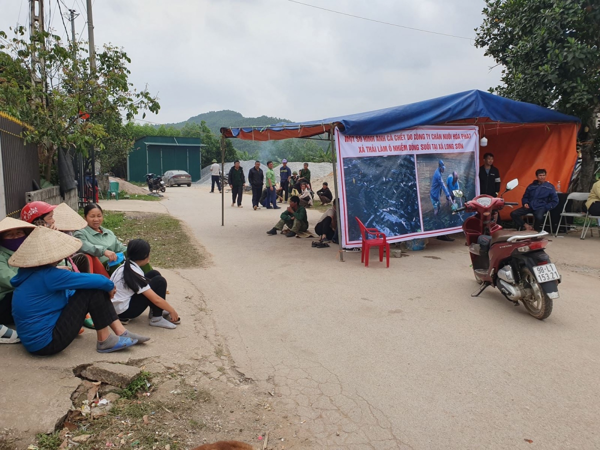 Vụ vỡ đường ống nước thải trang trại ở Bắc Giang: 460 con lợn bị chết đói