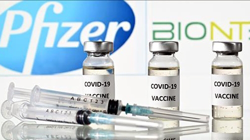 Pfizer dự kiến ​​​​sụt giảm doanh số bán vaccine và thuốc điều trị Covid-19