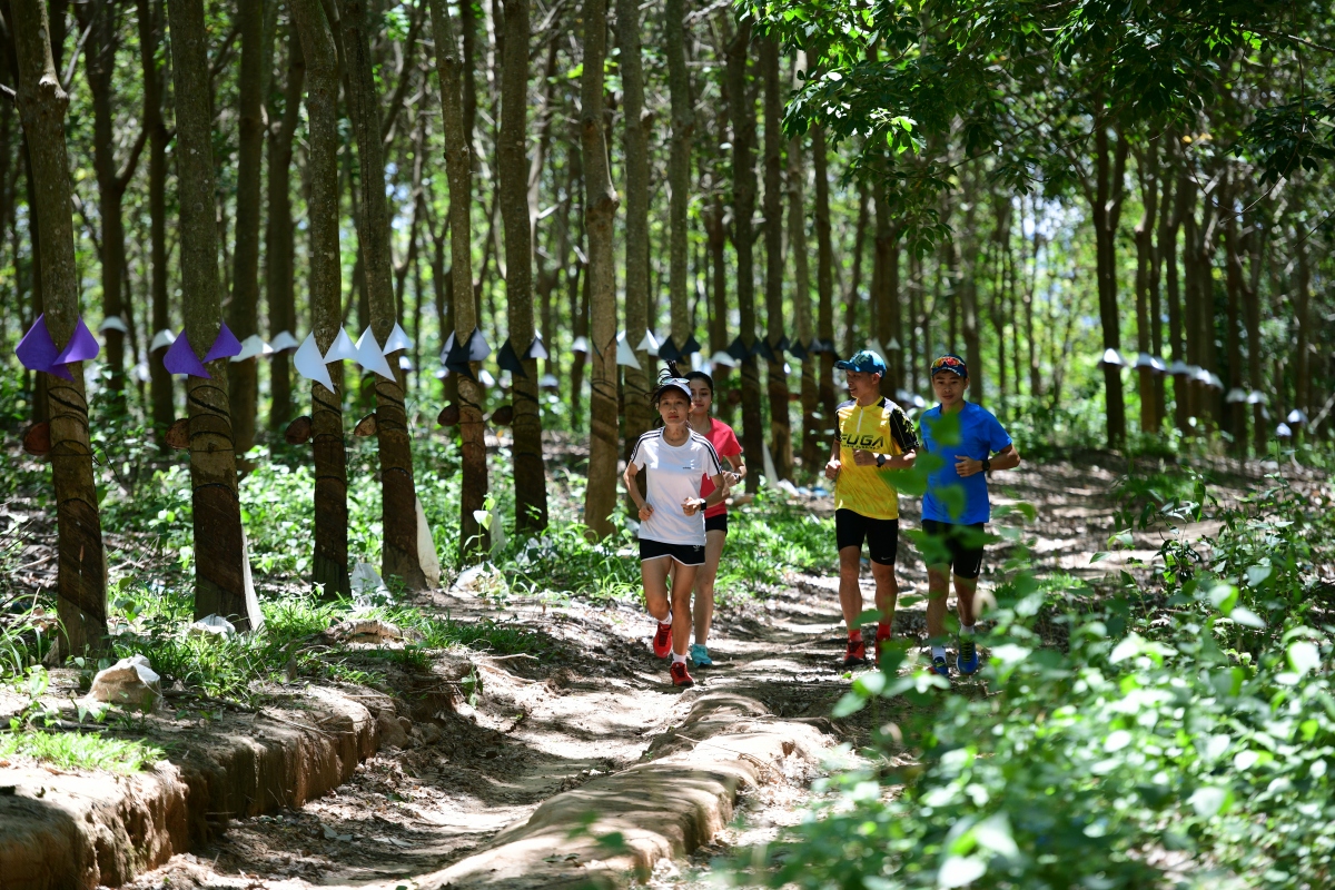 Khởi động giải chạy Marathon Vì An toàn giao thông - Sa Thầy 2023