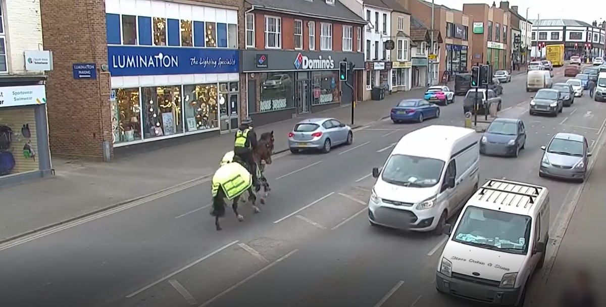 Video: Nữ cảnh sát Anh cưỡi ngựa "truy đuổi" tài xế