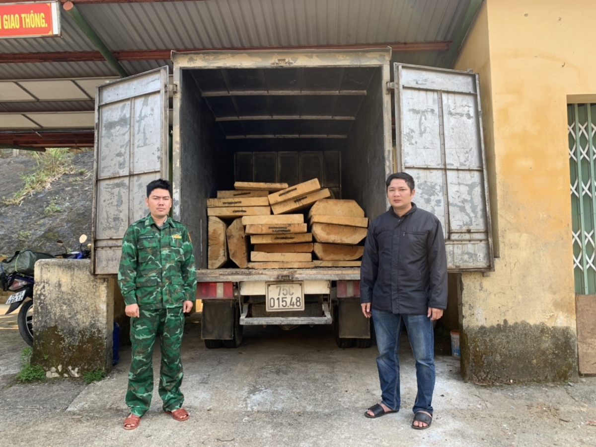 Phát hiện xe tải chở 19 phách gỗ lậu tại Thừa Thiên Huế