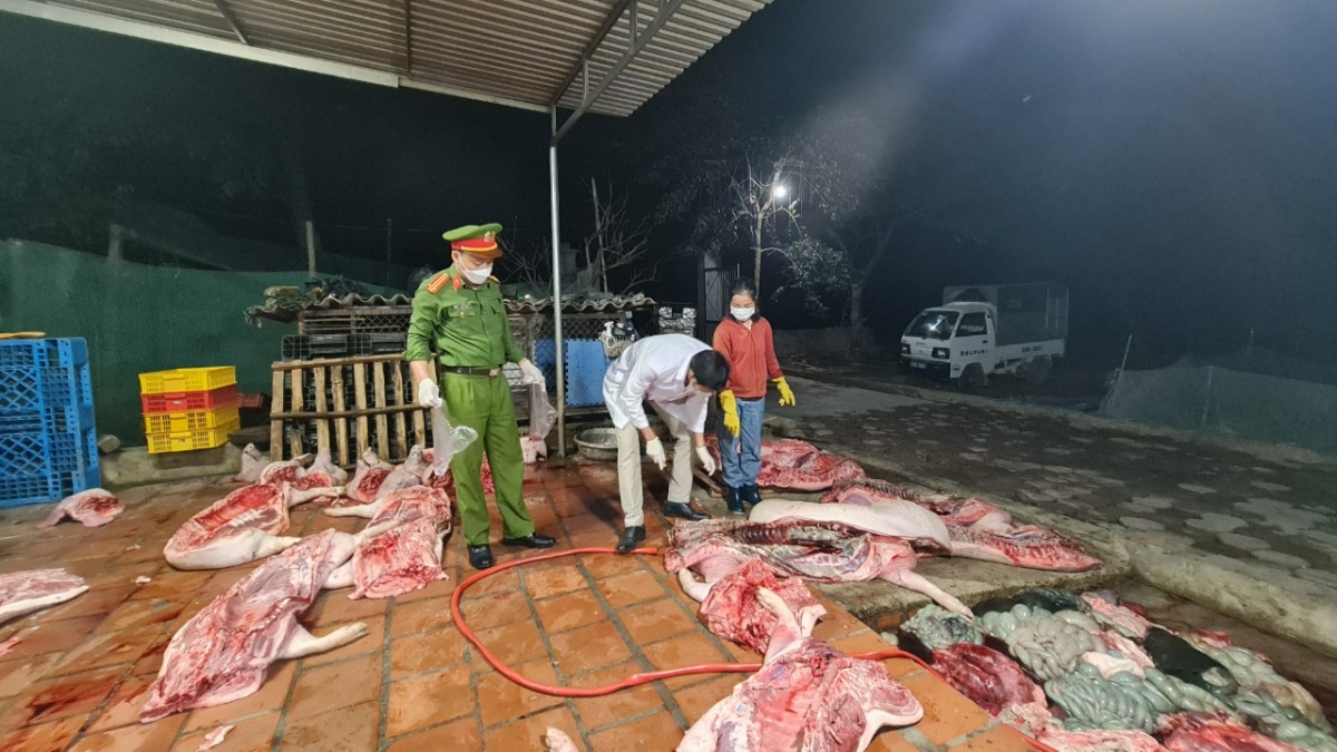 Bắc Giang phát hiện cơ sở giết mổ lợn đã chết