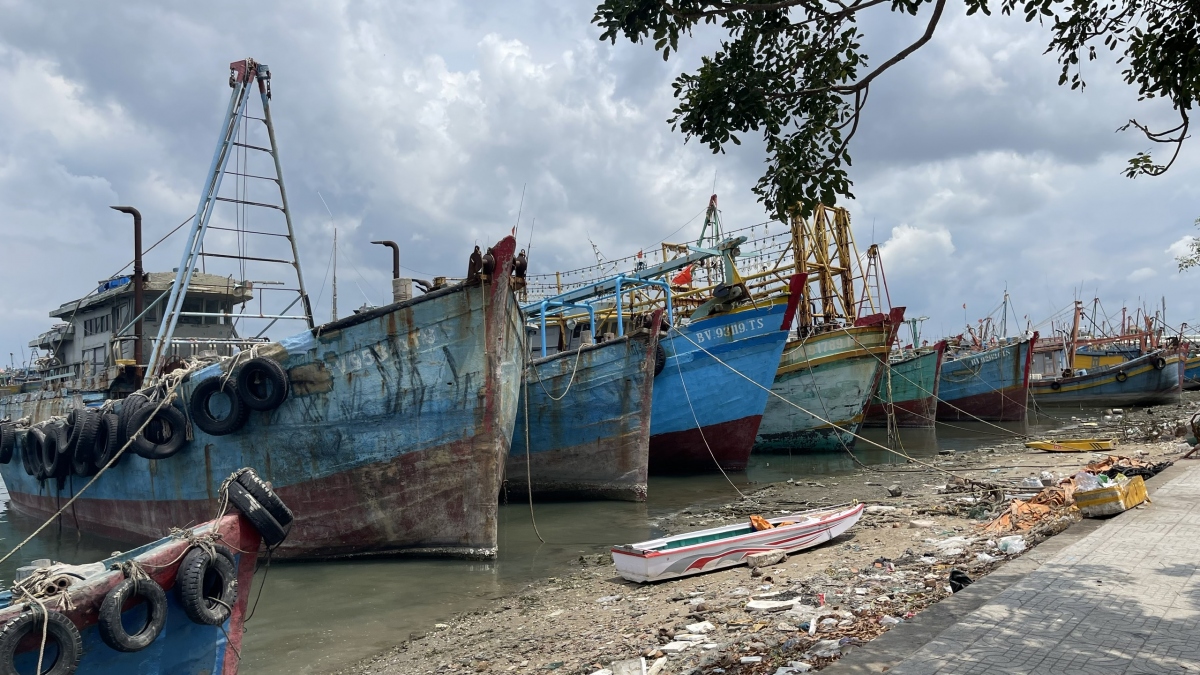Đánh bắt thua lỗ nhiều ngư dân ở Bà Rịa – Vũng Tàu rao bán tàu