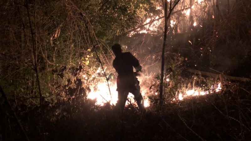 Hàng trăm người chữa cháy rừng trong đêm ở Sơn La
