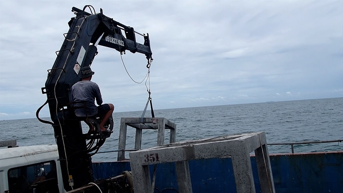 Dự án “xây nhà cho cá” ở Cà Mau: Có 78 loài thủy sản về cư trú