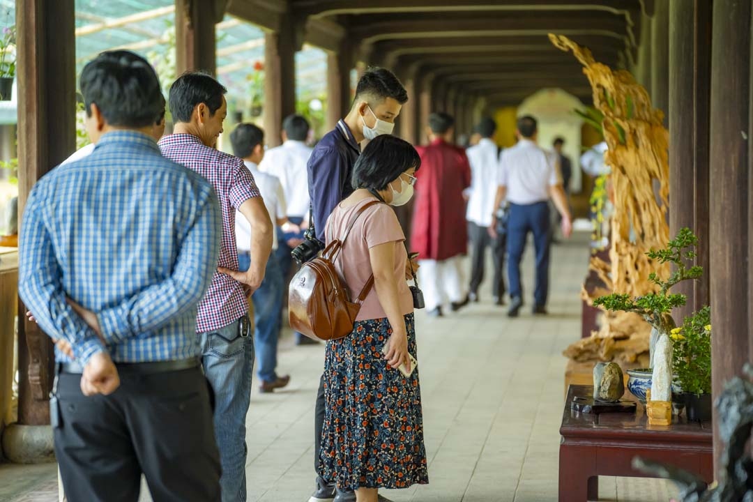 Trầm trồ chiêm ngưỡng 1.000 tác phẩm cây kiểng và phong lan tại Huế