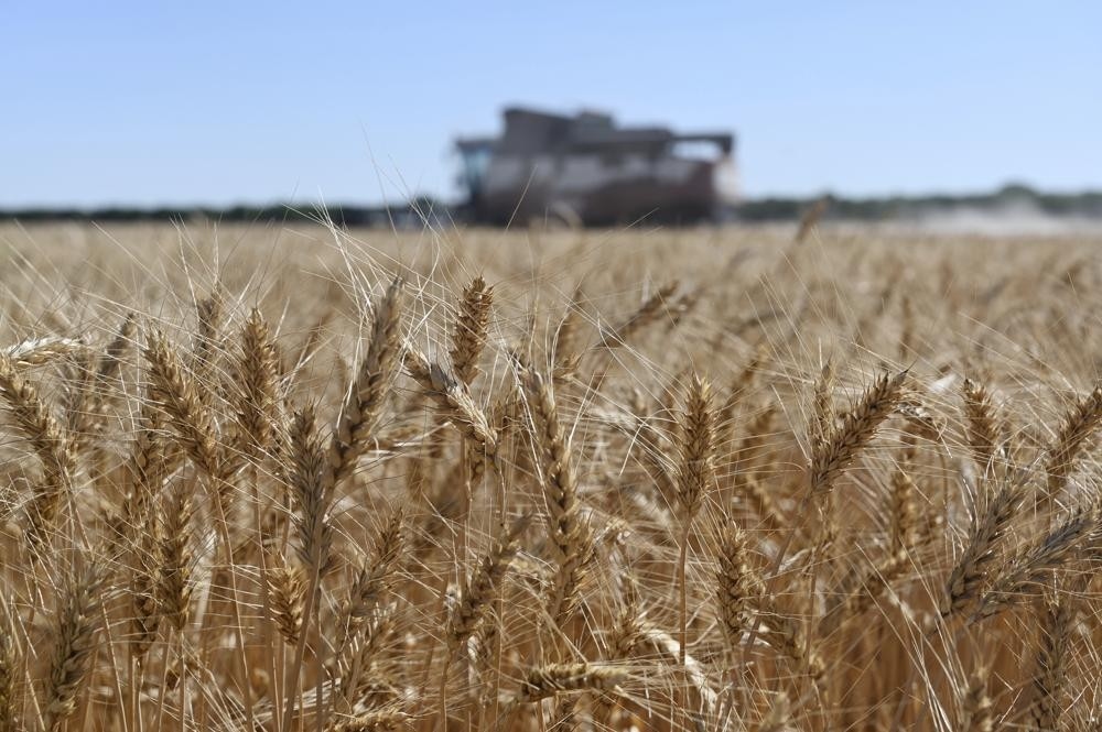 Xe tải Ukraine ùn ứ ở biên giới Ba Lan sau lệnh cấm nhập khẩu ngũ cốc