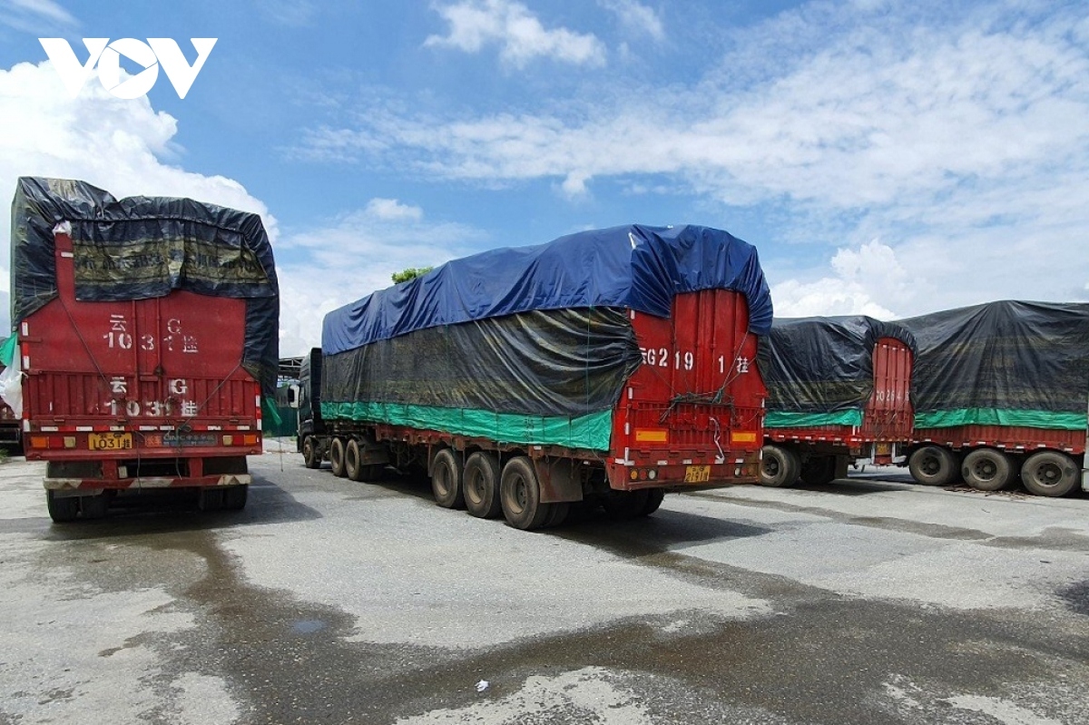 Lào Cai ngăn chặn buôn lậu trong hoạt động nhập khẩu