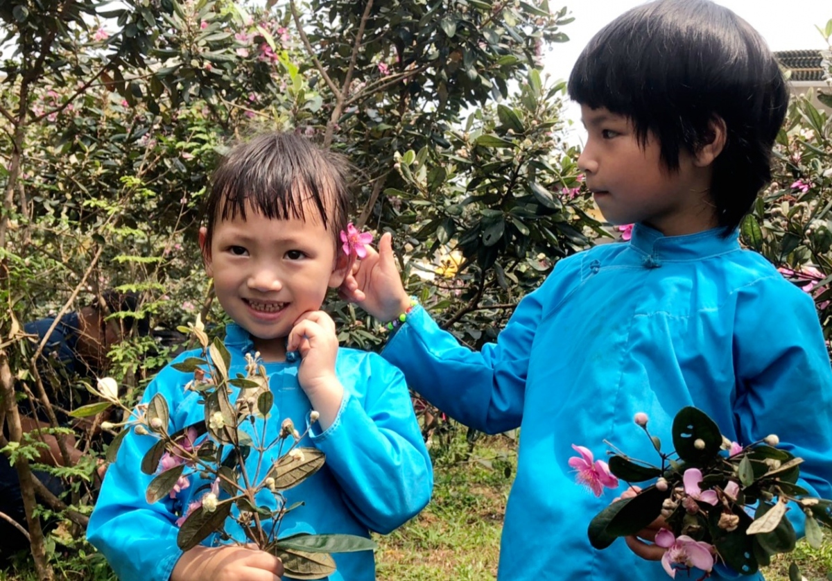 Dịu dàng hoa sim biên giới tại Móng Cái, Quảng Ninh