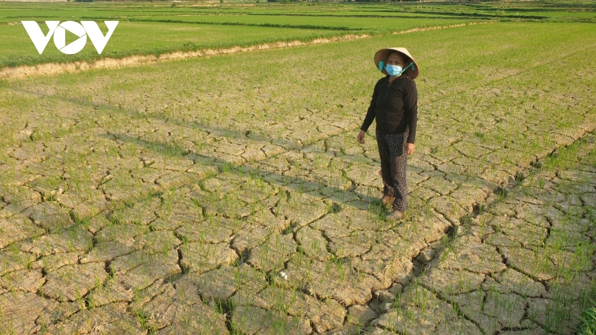 Thủ tướng yêu cầu ứng phó với nguy cơ nắng nóng, hạn hán, thiếu nước, xâm nhập mặn