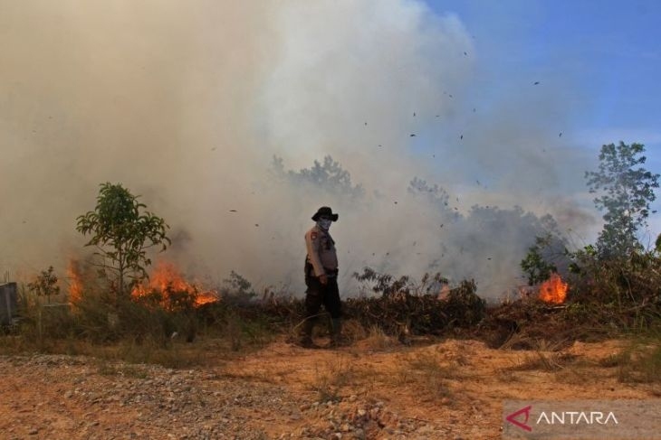 Indonesia làm mưa nhân tạo chống cháy rừng