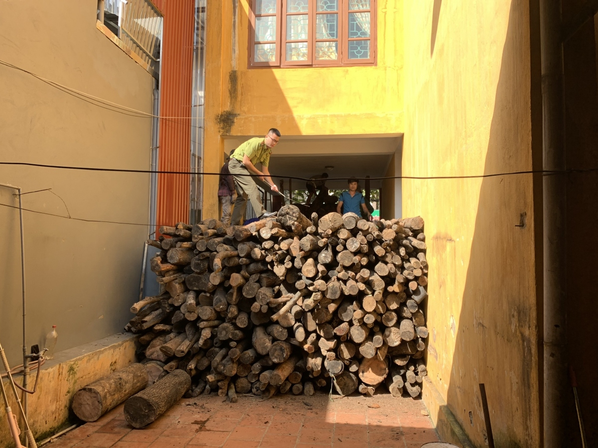 Lạng Sơn thiếu kho bãi bảo quản gỗ tang vật vi phạm